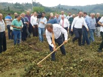 BÜLENT YENER BEKTAŞOĞLU - CHP'li Torun Açıklaması 'Lütfen Fındık Üreticisine Sahip Çıkın'