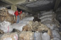 KATKI MADDESİ - Düğün Sezonu Yüncülerin Yüzünü Güldürdü