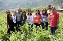 Eski Nesil 'Zeytinyağsız Yemem' Diyor