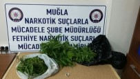 Fethiye'de Uyuşturucu Operasyonu Açıklaması 1 Tutuklama