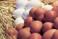 TARIM BAKANLIĞI - Skandal 12 ülkeye sıçradı