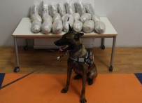 Tamponda 17 Kilo 830 Gram Uyuşturucu Ele Geçirildi