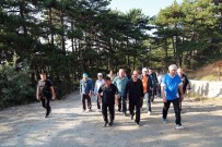 KEMAL YURTNAÇ - Yozgat'ta Kamu Çalışanları Sağlıklı Yaşam İçin Yürüdü