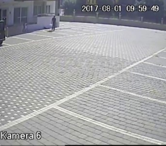 Ayakkabı Fareleri Tutuklandı