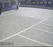 Ayakkabı Fareleri Tutuklandı