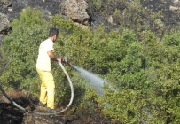 ÇUKURKÖY - Tavşanlı'daki Mesire Alanında Yangın