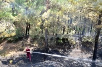 Tekirdağ'da 50 Dönüm Orman Kül Oldu