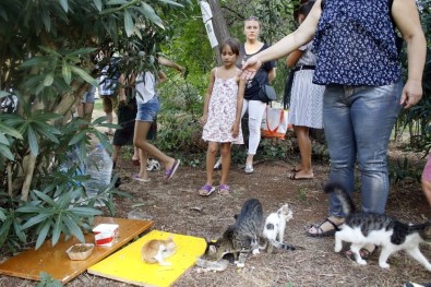 Antalya'daki 'Kedi Katliamına' Site Sakinlerinden Tepki