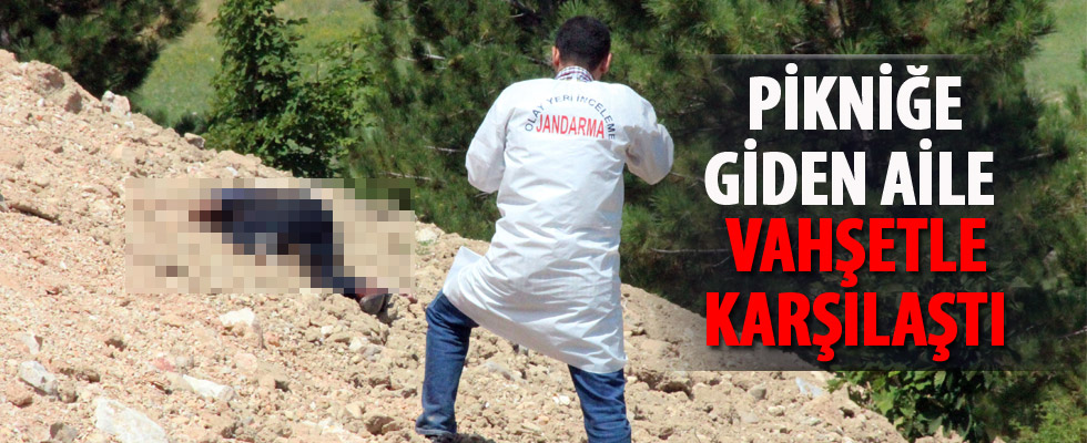 Pikniğe giden aile vahşetle karşılaştı