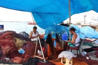 TROL - Balıkçılar 1 Eylül'ü İple Çekiyor