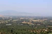 SÜT ÜRETİMİ - Küçük Menderes'te Susuzluk Tehlikesi