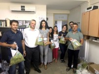 TARIM BAKANLIĞI - Salihli'de Zirai İlaç Kalıntısına Geçit Yok