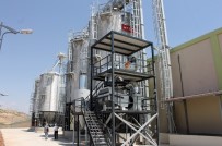 SOĞUK HAVA DEPOSU - Siirt Fıstığı Markalaşıyor