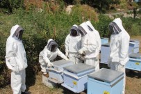 TİKA'dan Gine Bissaulu Personele Arıcılık Eğitimi