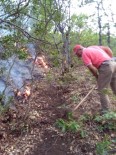 ORMAN YANGıNLARı - Tunceli'deki Orman Yangınları Kontrol Altına Alındı