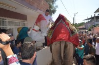 DAVUL ZURNA - Deve Sırtında Gelin Aldılar