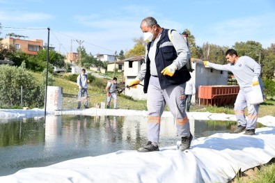 Mersin'de Haşere İle Mücadele Çalışmaları Sürüyor