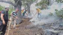 MUNZUR VADİSİ - Tunceli'deki Orman Yangınları Tamamen Kontrol Altına Alındı