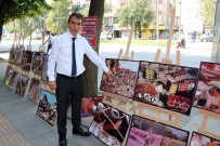 TÜP PATLADI - Depremde Eşini Ve Oğlunu Kaybetti Açıklaması Her Yıl Sergi Açıyor