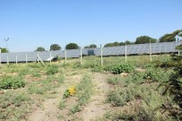 KARACADAĞ - Güneş Enerjisiyle 200 Bin TL Tasarruf