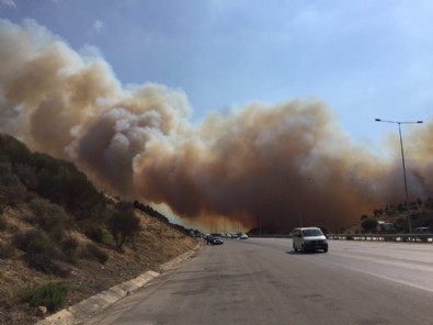 İzmir'de makilik yangını giderek büyüyor!
