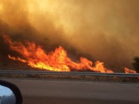 İTFAİYECİLER - İzmir Güzelbahçe'de orman yangını!