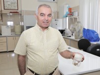 Prof. Dr. Abdullah İnci, 'Sarı Örümcekler Zararsızdır'