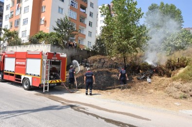 Sinop'ta Ot Yangını