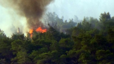 Ayvalık'taki Orman Yangını Kontrol Altına Alındı