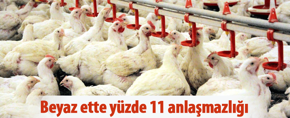 Beyaz ette yüzde 11 anlaşmazlığı