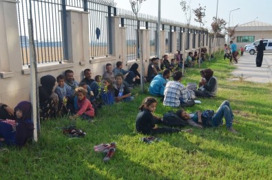 Hatay'da 80 Kaçak Göçmen Yakalandı