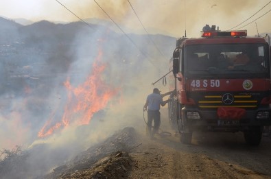 Milas'ta Bayrak Tepe Kül Oldu