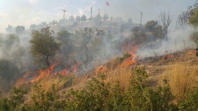 Milas'ta Moloz Alanında 5 Gün Arayla İkinci Yangın