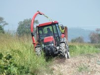 BOĞAZKENT - Mısır Ve Soya Birlikte Ekilip Slajlık Yem Üretildi