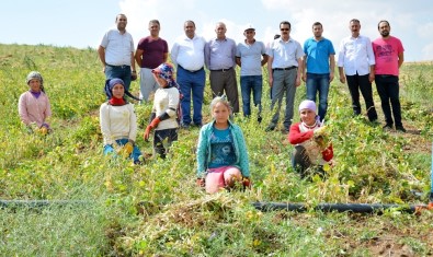 Aksaray'da Yapılan Gölet Kıraç Topraklara Hayat Verdi