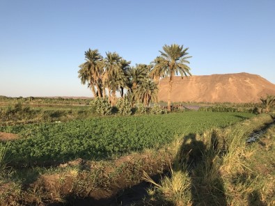Sudan'da E-Tarıma Geçilecek