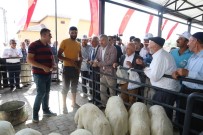 İSMAİL TAMER - Büyükşehir'den İncesu'ya Bir Yatırım Daha