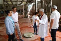 CENGIZ ERGÜN - Manisa'da Et Kombinasına Bayram Denetimi