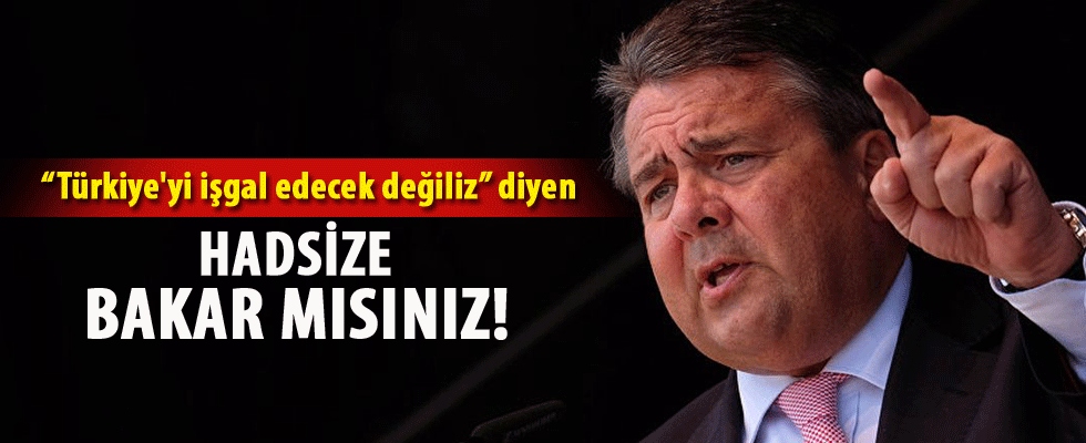 Alman Bakan'dan küstah açıklama