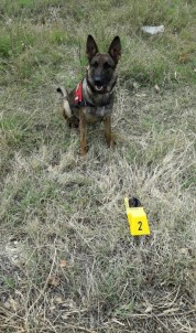 Şüphe Üzerine Durdurulan Araçta Eroin Ele Geçirildi