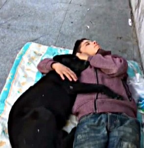 Beşiktaş'ta Köpeğe Sarılarak Uyuyan Çocuk Yürekleri Burktu