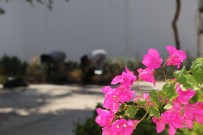 NEYZEN TEVFIK - Bodrum'da Çevre Düzenleme Çalışmaları Sürüyor