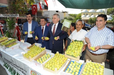 Buharkent 'İncir' Festivaline Hazır