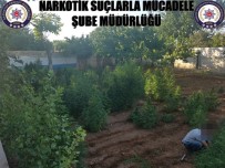 GAZIANTEP EMNIYET MÜDÜRLÜĞÜ - Gaziantep Polisi Uyuşturucu Tacirlerine Göz Açtırmıyor