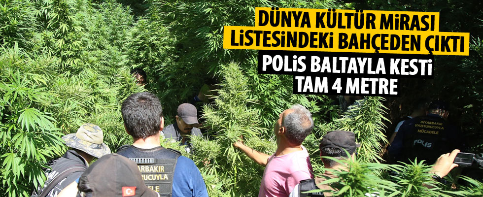 Hevsel Bahçeleri'nde uyuşturucu operasyonu