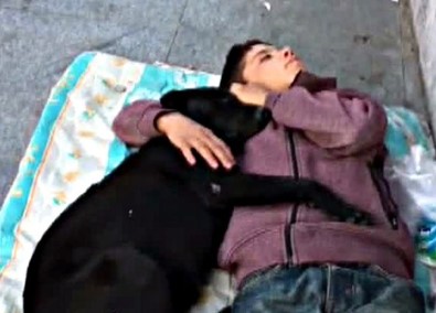 Köpeğe Sarılarak Uyuyan Çocuk Yürekleri Burktu