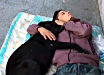 İSTANBUL BEŞİKTAŞ - Köpeğe Sarılarak Uyuyan Çocuk Yürekleri Burktu