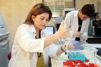 KABİN MEMURLARI - İşe Alınacaklara Madde Testi Yaptırılmalı