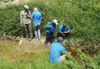 BALıKESIR ÜNIVERSITESI - Yeni Nesillere Ekolojik Doğa Anlayışı Aşılanacak