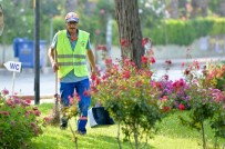 Devlet Memuruna Mukavemet Etti, Cezasını Devlete Hizmet Ederek Çekiyor